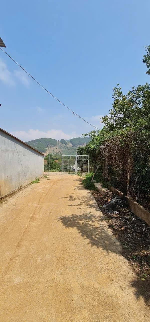 Cần Tiền Bán Gấp Lô Đất Rộng 3 Mặt Tiền Tại Xã Tà Nung, Tp.Đà Lạt 716m2 - Ảnh 1